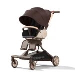 Baobaohao V9 Luxury 2-Way Magic Stroller with 360° Rotating Seat