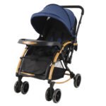 Baobaohao C3 Dual-Function Baby Stroller & Rocker - Image 2