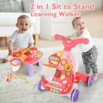 Baby Activity Walker, 2 in 1 Baby Push Walkers and Activity Center, Walker for Baby Boy Girl (Pink)